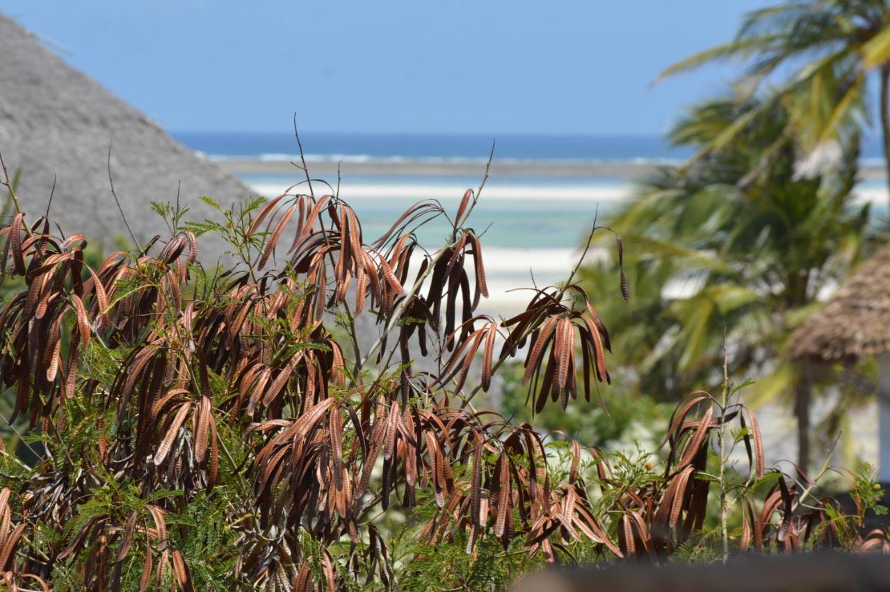Pole Pole Beach House Watamu Exteriér fotografie